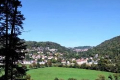 Bild8