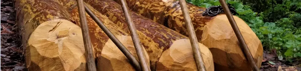 Reinerzauer Riesfest 2025