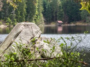 Glaswaldsee mit Staumauer vom jenseitigen Ufer