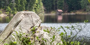 Glaswaldsee mit Staumauer vom jenseitigen Ufer